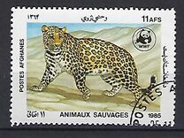 [WWF - Leopard, տեսակ ADJ]