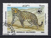 [WWF - Leopard, տեսակ ADJ]