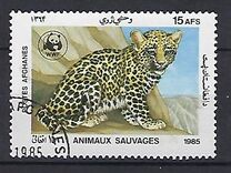 [WWF - Leopard, տեսակ ADK]