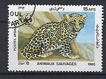 [WWF - Leopard, տեսակ ADK]