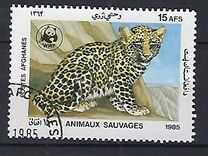 [WWF - Leopard, տեսակ ADK]
