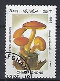 [Flora - Mushrooms, տեսակ ABR]