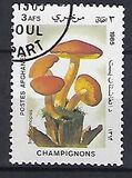 [Flora - Mushrooms, տեսակ ABR]