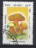 [Flora - Mushrooms, տեսակ ABS]