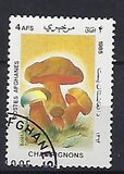 [Flora - Mushrooms, տեսակ ABS]