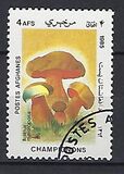 [Flora - Mushrooms, տեսակ ABS]