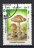 [Flora - Mushrooms, տեսակ ABT]