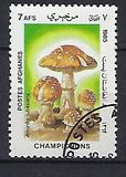 [Flora - Mushrooms, տեսակ ABT]