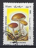 [Flora - Mushrooms, տեսակ ABU]