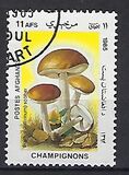 [Flora - Mushrooms, տեսակ ABU]
