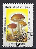 [Flora - Mushrooms, տեսակ ABU]