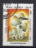 [Flora - Mushrooms, տեսակ ABV]
