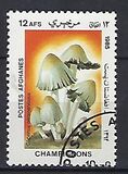 [Flora - Mushrooms, տեսակ ABV]