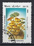 [Flora - Mushrooms, տեսակ ABW]