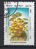 [Flora - Mushrooms, տեսակ ABW]