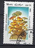 [Flora - Mushrooms, տեսակ ABW]