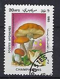 [Flora - Mushrooms, տեսակ ABX]