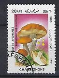 [Flora - Mushrooms, տեսակ ABX]