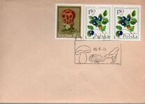 [Protected Poisonous Mushrooms, タイプ CHV]
