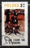 [The 150th Anniversary of Horse Riding in Sieraków, タイプ CGV]