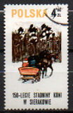 [The 150th Anniversary of Horse Riding in Sieraków, タイプ CGW]