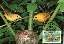 [World Wildlife Fund  - Yellow Warbler, type XI]