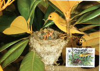 [World Wildlife Fund  - Yellow Warbler, type XJ]