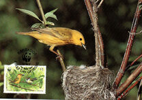 [World Wildlife Fund  - Yellow Warbler, type XK]
