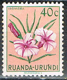 [Definitive 1953 - Flora of the Colony - (Perf. 11½), type BA]