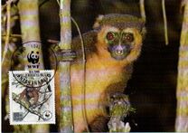 [Worldwide Nature Conservation, type AIT]