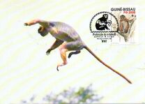 [Global Conservation - Fatango Monkeys, प्रकार ACU]