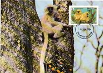 [Endangered Species - Gee's Golden Langur, type AFB]
