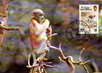 [Endangered Species - Proboscis Monkey, type JP]