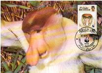 [Endangered Species - Proboscis Monkey, type JQ]