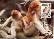 [Endangered Species - Proboscis Monkey, type JS]