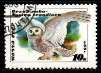 [Owls, type HKA]