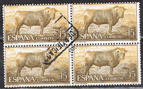 [Bull Fighting, type ASR]