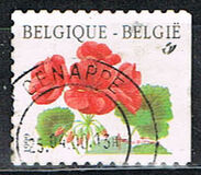 [Flower - Year "2000" Imprint, Tip CFV1]