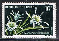 [Flowers, Typ HF]
