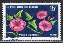 [Flowers, Typ HG]
