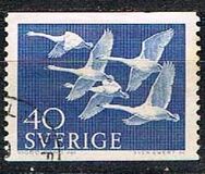 [Norden Stamps - Birds, type DY1]