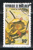 [Flores., tipo ACG]