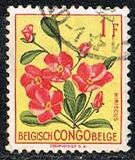[Definitive Issues - Flowers, प्रकार EL]