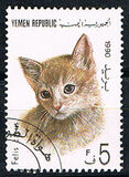 [Cats, प्रकार AB]