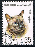 [Cats, प्रकार AD]
