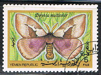 [Moths and Butterflies, type M]