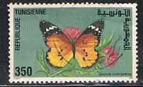 [Butterflies, type AGB]