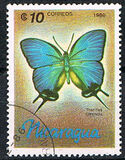 [Butterflies, type BTY]