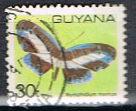 [Butterflies, type IR]