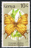 [Butterflies, тып PL]